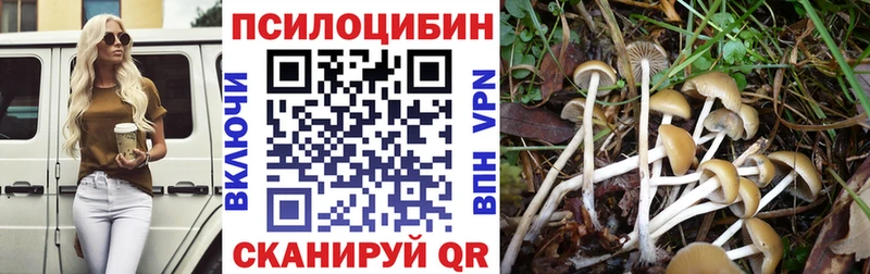 Галлюциногенные грибы Psilocybine cubensis  Купить  Оханск 